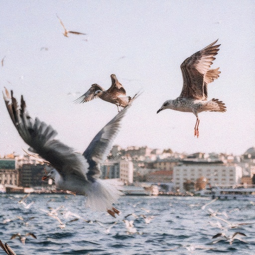 风景原图.jpg