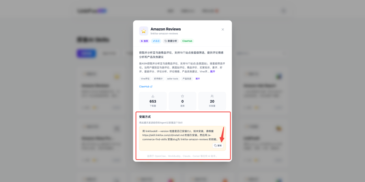 其他 AI 助手安装 Skill - 安装完成